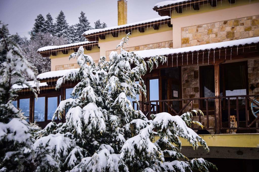 Aetoma Suites Synikia Mesi Trikalon Exteriör bild